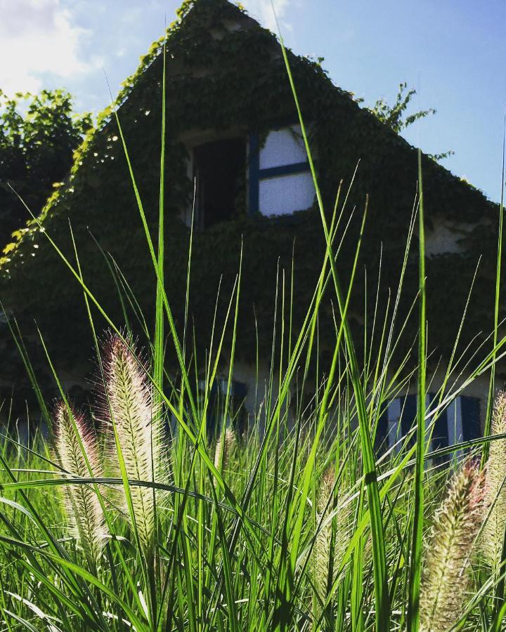 Authentic Wellnesshoeve Hansbeke Exterior photo